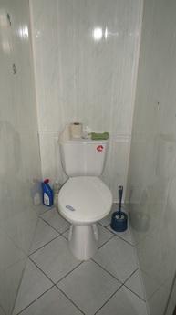 1 bedroom apartment on the street. Mosco, Penza - apartment by the day