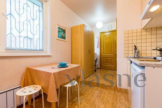 Lovely cozy studio, Balashikha - apartment by the day