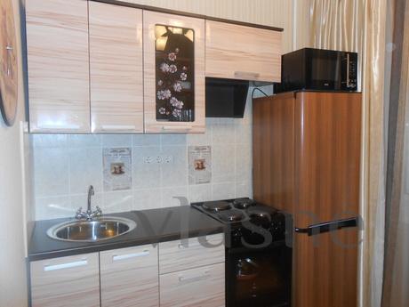 Cozy apartment in the center, Novosibirsk - apartment by the day