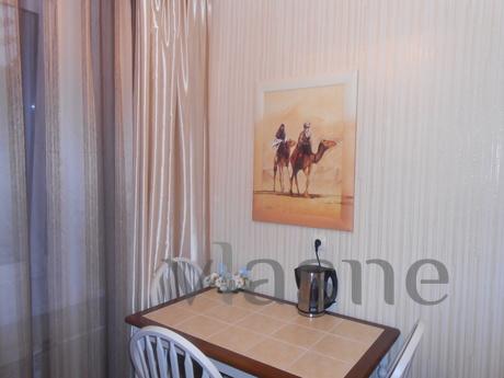 Cozy apartment in the center, Novosibirsk - apartment by the day