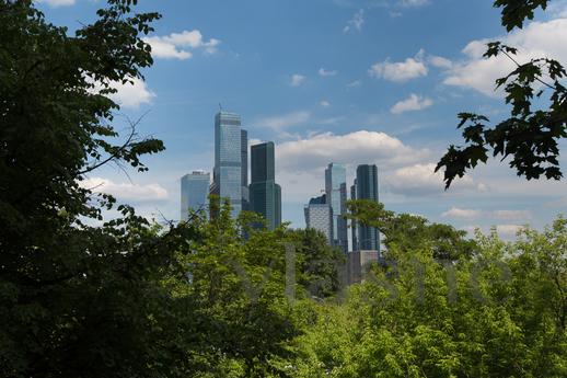 Apartment near m. Feely, view of Moskow, Moscow - apartment by the day