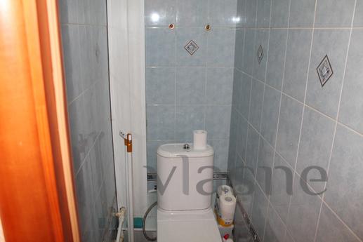 One-bedroom apartment in the center, Tyumen - apartment by the day