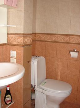apartment on Moscow Avenue 205, Saint Petersburg - apartment by the day