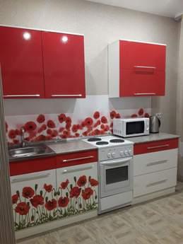 1 bedroom apartment for rent, Irkutsk - apartment by the day