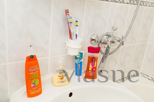 Nice apartment for rent, Moscow - apartment by the day