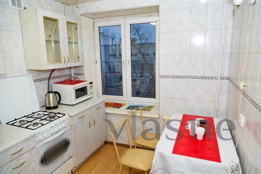 Nice apartment for rent, Moscow - apartment by the day