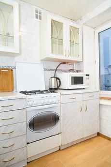 Nice apartment for rent, Moscow - apartment by the day