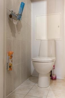 One bedroom apartment, Moscow - apartment by the day