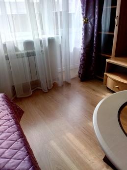1 bedroom apartment for rent, Moscow - apartment by the day