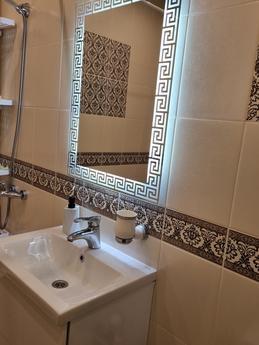 luxury apartment in the center, Saint Petersburg - apartment by the day
