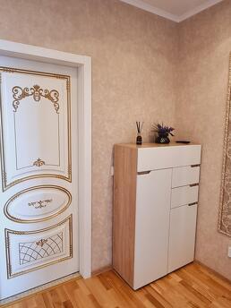 luxury apartment in the center, Saint Petersburg - apartment by the day