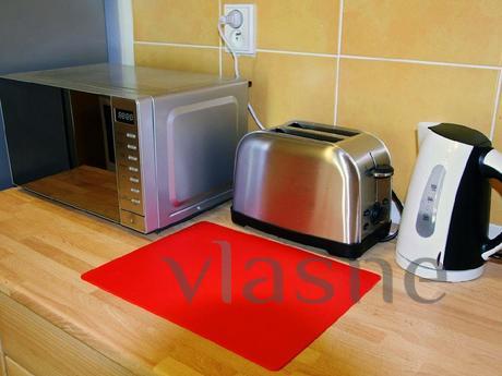Rent an apartment near the metro in a ne, Saint Petersburg - apartment by the day