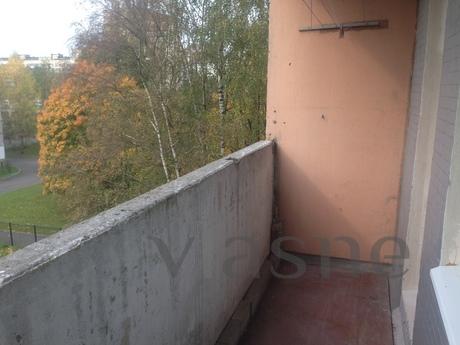 1 bedroom apartment for rent, Saint Petersburg - apartment by the day