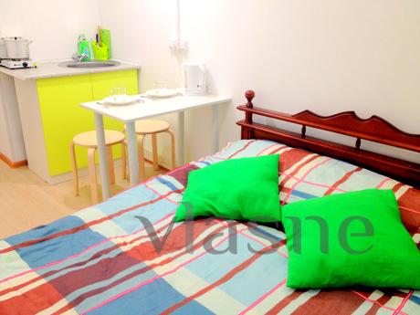 Small studio apartment in Kommunarka, Moscow - apartment by the day