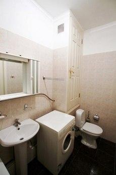 For rent apartment with Euro renovation, Saint Petersburg - apartment by the day