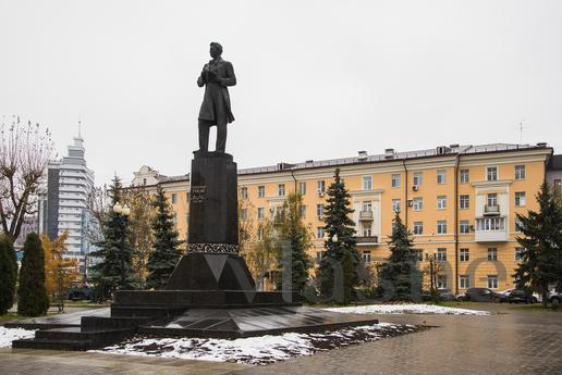 The center of the capital Kazan!, Kazan - apartment by the day