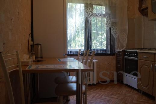 Daily excellent 1BR in the center, Krasnodar - apartment by the day