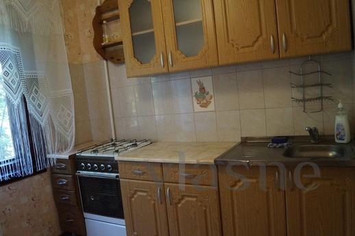 Daily excellent 1BR in the center, Krasnodar - apartment by the day