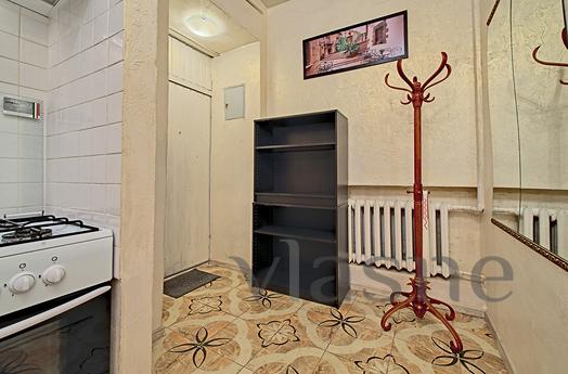 Daily Mayakovsky 11 A, Saint Petersburg - apartment by the day