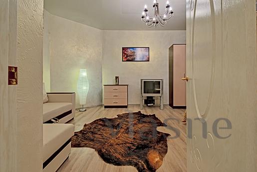 Daily Mayakovsky 11 A, Saint Petersburg - apartment by the day