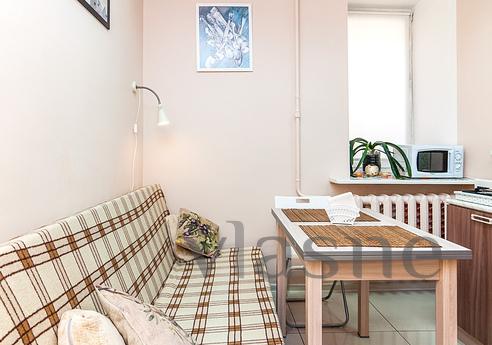 Daily Kirochnaya 27, Saint Petersburg - apartment by the day