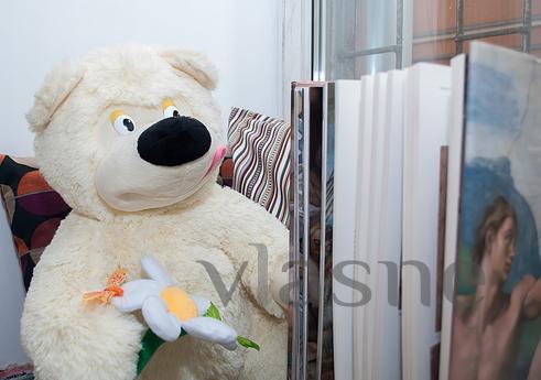 Daily Kirochnaya 27, Saint Petersburg - apartment by the day