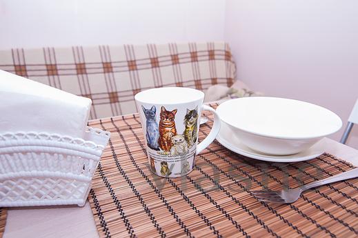 Daily Kirochnaya 27, Saint Petersburg - apartment by the day