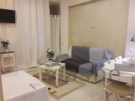 Daily st. Ryleeva 17-19, Saint Petersburg - apartment by the day