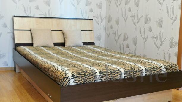 LCD Golden Mean, Kazan - apartment by the day