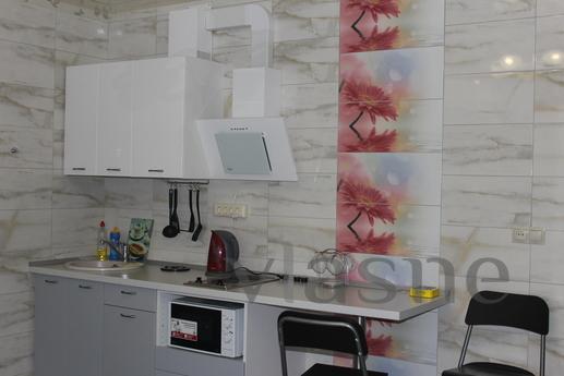 daily and hourly, Novosibirsk - apartment by the day