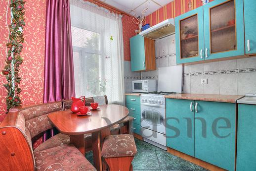 Large apartment in the center, Saint Petersburg - apartment by the day