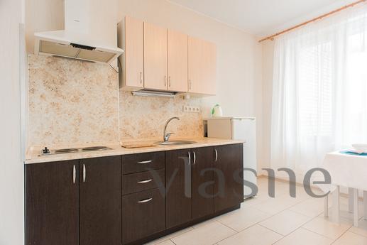 Rent apartment near the Metro Ozerki, Saint Petersburg - apartment by the day