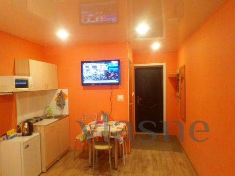 1 bedroom apartment for rent, Novosibirsk - apartment by the day