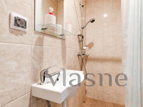 Mini Hotel at the Moscow station, Saint Petersburg - apartment by the day