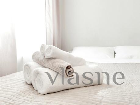 Mini Hotel at the Moscow station, Saint Petersburg - apartment by the day