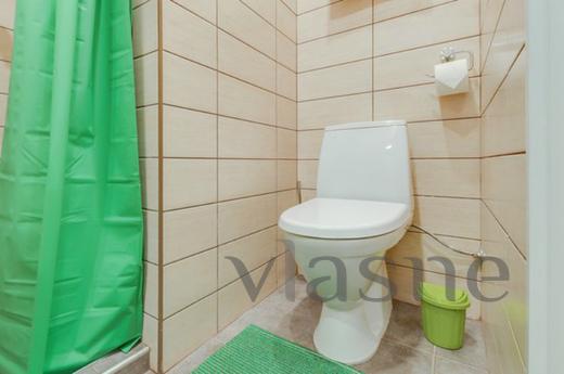 Mini-hotel in the center of St. Petersbu, Saint Petersburg - apartment by the day