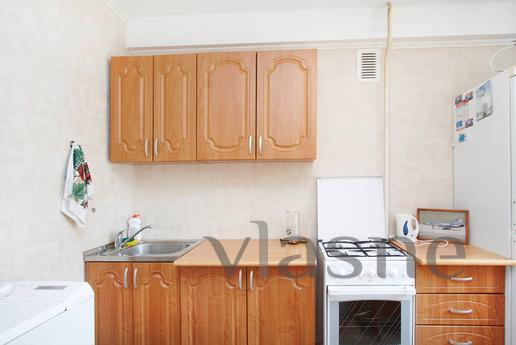The apartment is at the airport Pulkovo, Saint Petersburg - apartment by the day