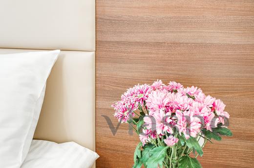 ROTAS 7 Chervonoarmiiska (Superior), Saint Petersburg - apartment by the day