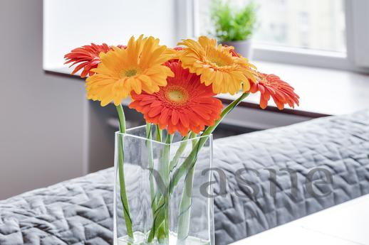 Studio near the Pulkovo Airport, Saint Petersburg - apartment by the day