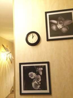 Rent a cozy one-bedroom apartment, Moscow - apartment by the day