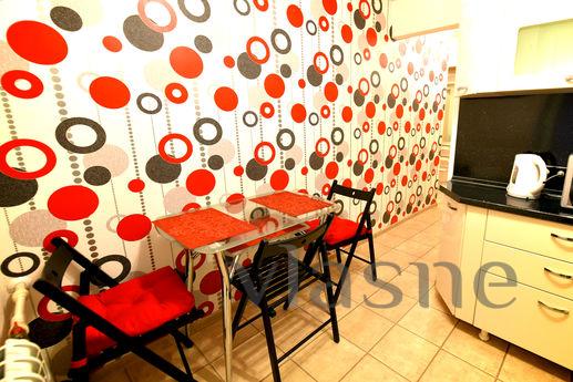 Elegant kittens in the center, Volgograd - apartment by the day