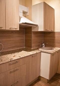 Studio in the area of ​​three stations, Moscow - apartment by the day