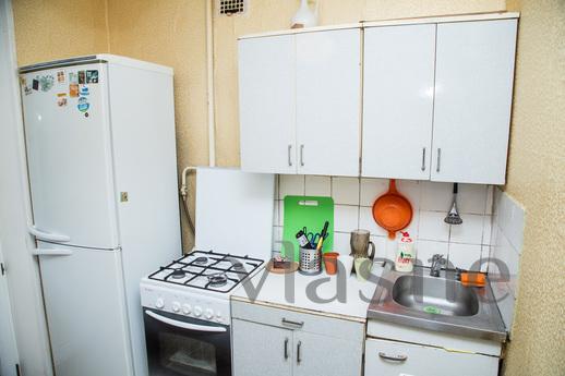 Bright and warm 2-bedroom apartment, Moscow - apartment by the day