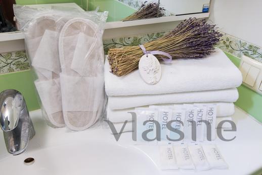 1 bedroom apartment for rent, Moscow - apartment by the day