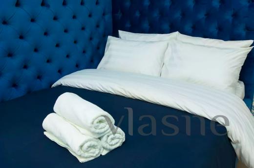 Comfortable luxury apartment in the city center, within walk