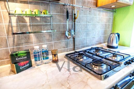 Apartment near Dubrovka metro station, Moscow - apartment by the day