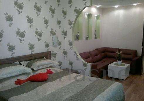 Daily rental rent studio apartment with excellent repair and