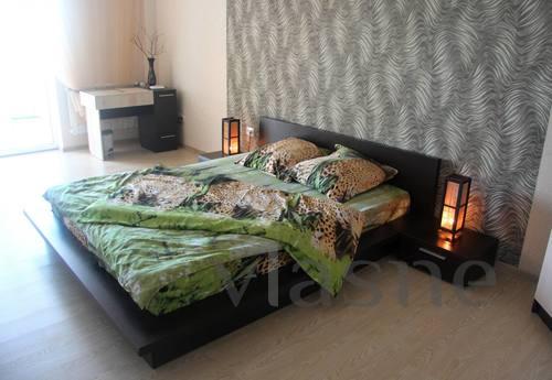 Daily rental rent studio apartment with excellent repair and