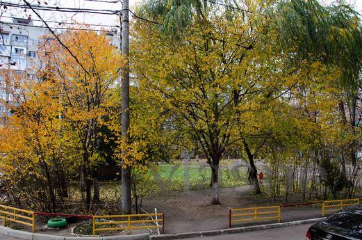 2 bedroom apartment in the center, Krasnodar - apartment by the day
