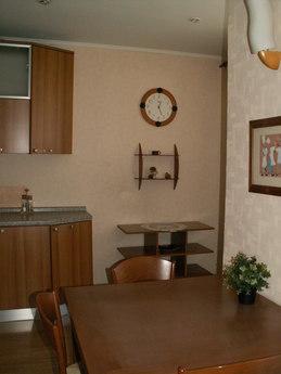 Great apartment in the center, Novosibirsk - apartment by the day